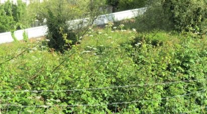 Land in Malveira e São Miguel de Alcainça of 2,360 m²