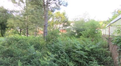 Land in Malveira e São Miguel de Alcainça of 2,360 m²