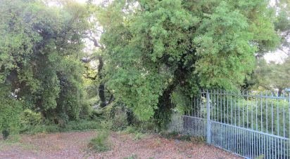 Land in Malveira e São Miguel de Alcainça of 2,360 m²