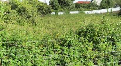 Land in Malveira e São Miguel de Alcainça of 2,360 m²