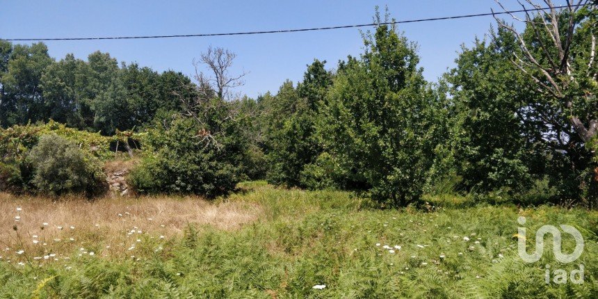 Terreno em Luzim e Vila Cova de 4 900 m²