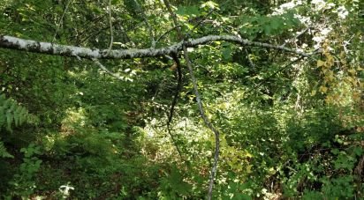 Terrain à Luzim e Vila Cova de 4 900 m²