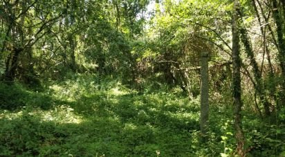 Terrain à Luzim e Vila Cova de 4 900 m²