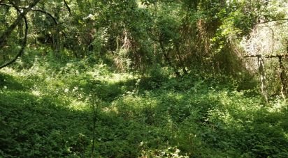 Terrain à Luzim e Vila Cova de 4 900 m²