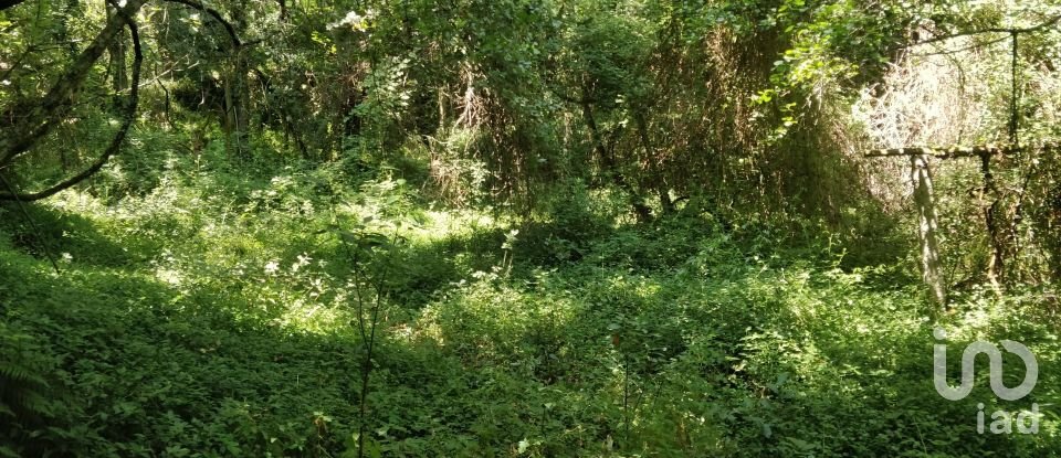 Terreno em Luzim e Vila Cova de 4 900 m²