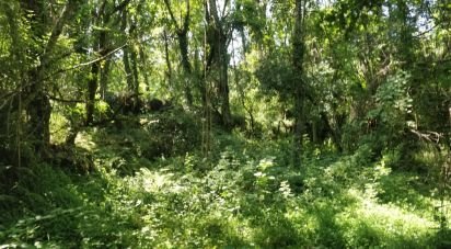 Terrain à Luzim e Vila Cova de 4 900 m²