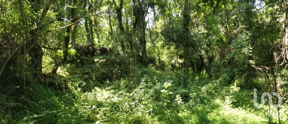 Terreno em Luzim e Vila Cova de 4 900 m²