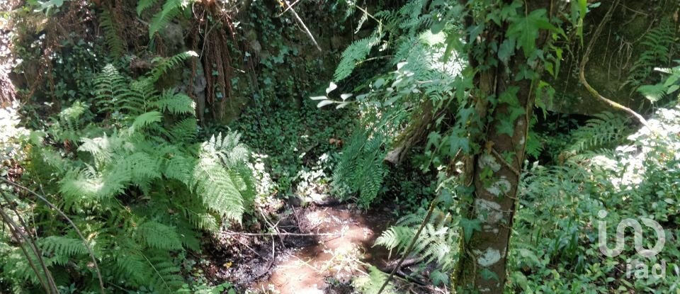 Terreno em Luzim e Vila Cova de 4 900 m²