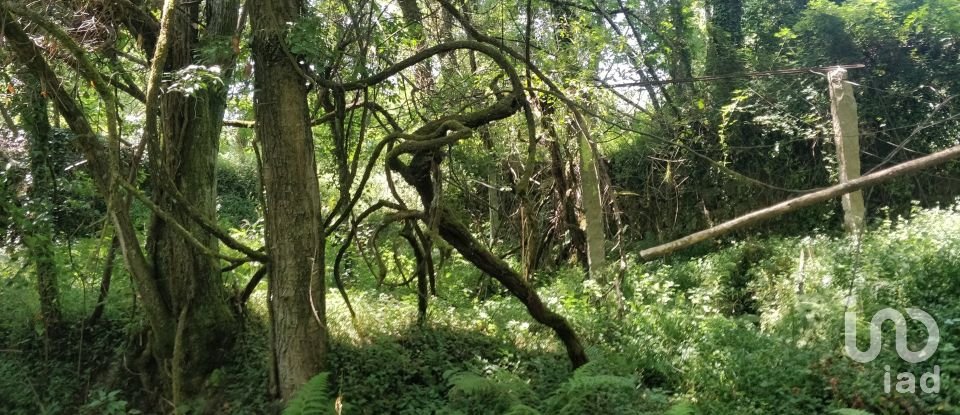 Terreno em Luzim e Vila Cova de 4 900 m²