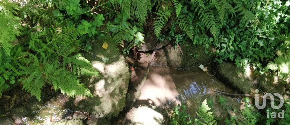 Terreno em Luzim e Vila Cova de 4 900 m²