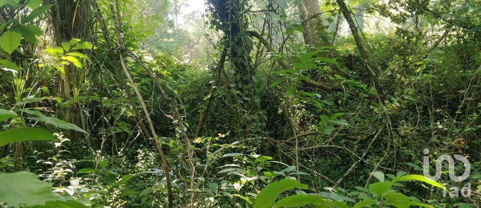 Terreno em Luzim e Vila Cova de 4 900 m²