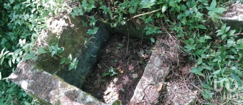 Terreno em Luzim e Vila Cova de 4 900 m²