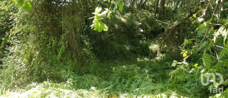 Terreno em Luzim e Vila Cova de 4 900 m²