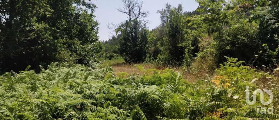 Terreno em Luzim e Vila Cova de 4 900 m²