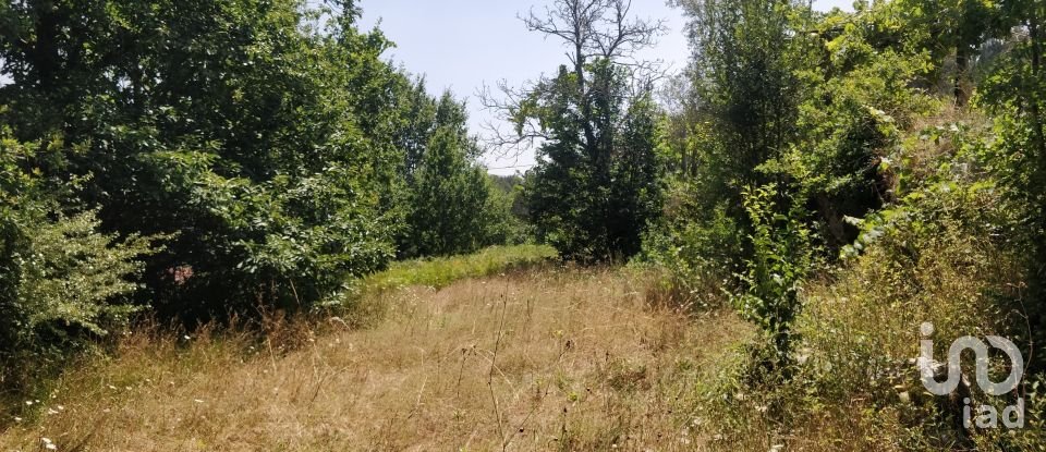 Terreno em Luzim e Vila Cova de 4 900 m²