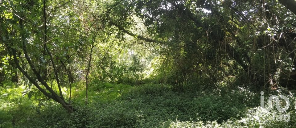 Terreno em Luzim e Vila Cova de 4 900 m²