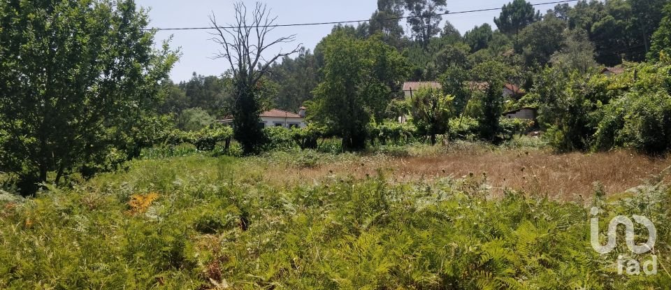 Terreno em Luzim e Vila Cova de 4 900 m²