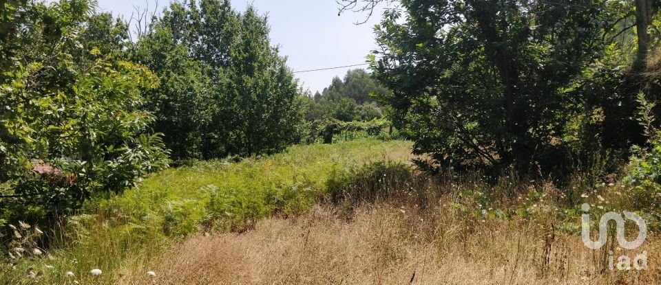 Terreno em Luzim e Vila Cova de 4 900 m²