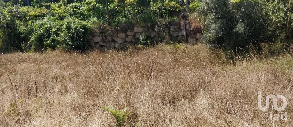 Terreno em Luzim e Vila Cova de 4 900 m²