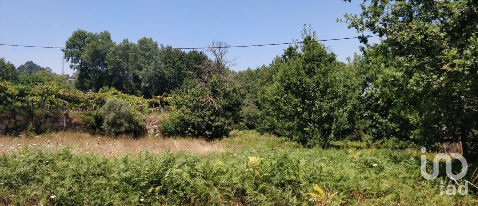 Terreno em Luzim e Vila Cova de 4 900 m²