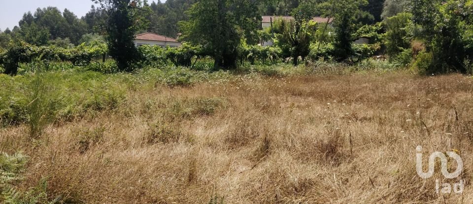 Terreno em Luzim e Vila Cova de 4 900 m²