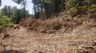 Terrain à Luzim e Vila Cova de 751 m²