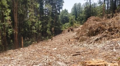 Terrain à Luzim e Vila Cova de 751 m²