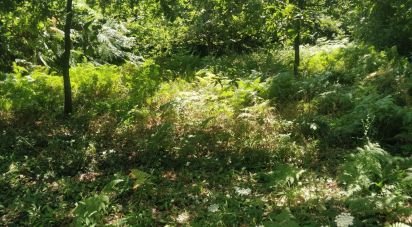 Terrain à Luzim e Vila Cova de 1 585 m²