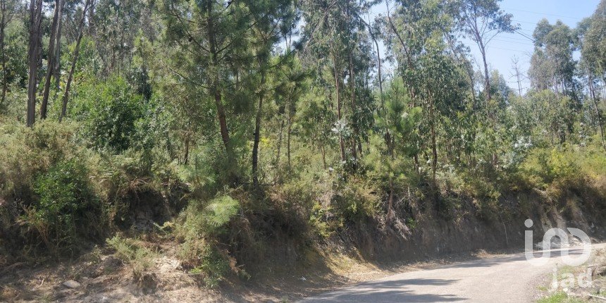 Terreno em Luzim e Vila Cova de 1 234 m²