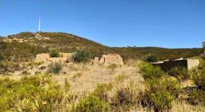 Building land in Mexilhoeira Grande of 45,500 m²
