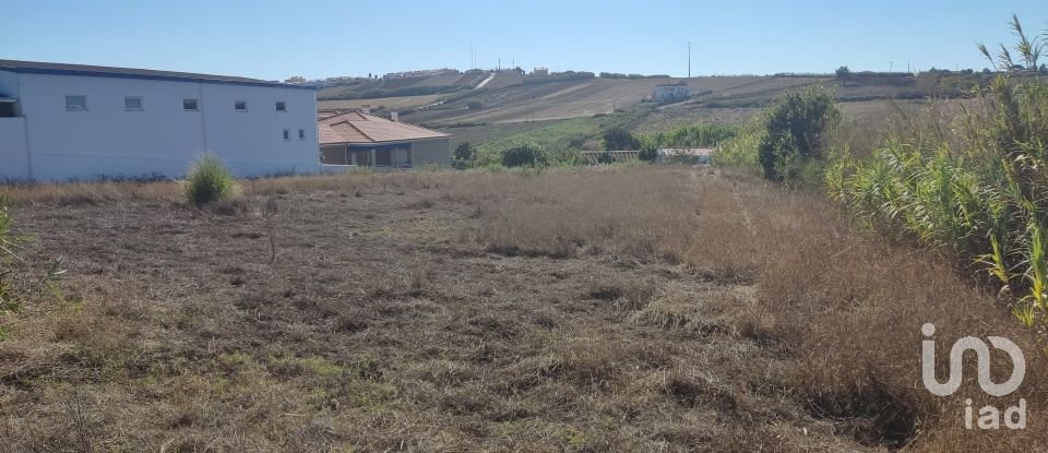 Terrain à bâtir à Miragaia e Marteleira de 2 800 m²