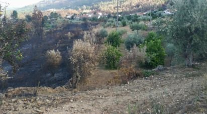 Terrain à Montes da Senhora de 4 250 m²