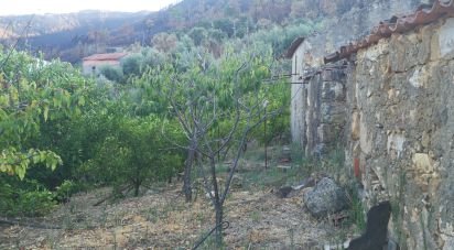 Terrain à Montes da Senhora de 4 250 m²