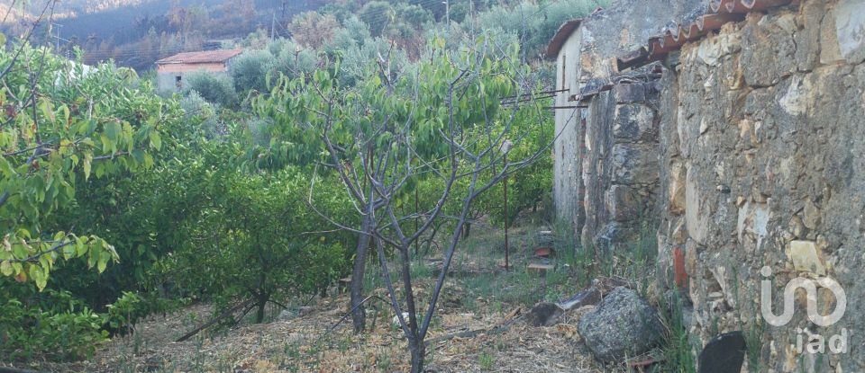 Terrain à Montes da Senhora de 4 250 m²