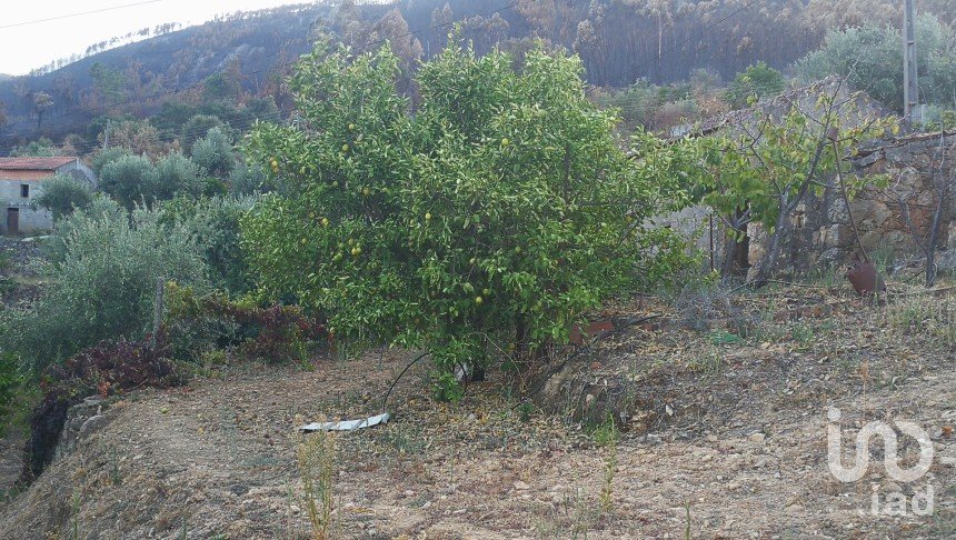 Terrain à Montes da Senhora de 4 250 m²