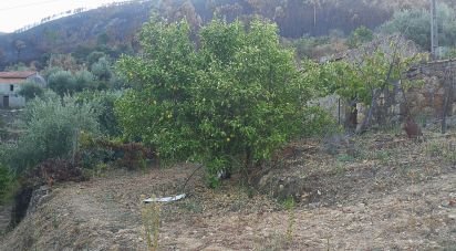 Terrain à Montes da Senhora de 4 250 m²