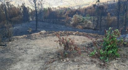 Terrain à Montes da Senhora de 4 250 m²