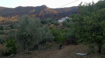 Terrain à Montes da Senhora de 4 250 m²