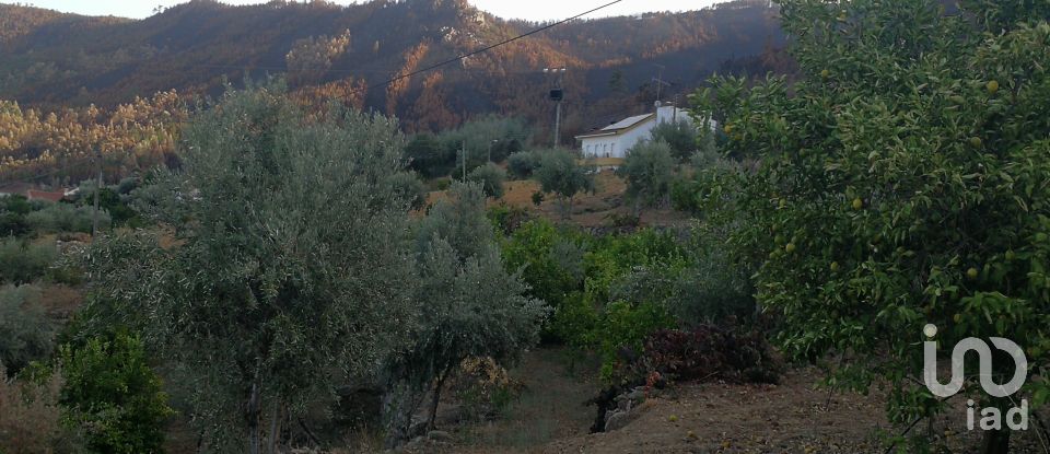 Terrain à Montes da Senhora de 4 250 m²