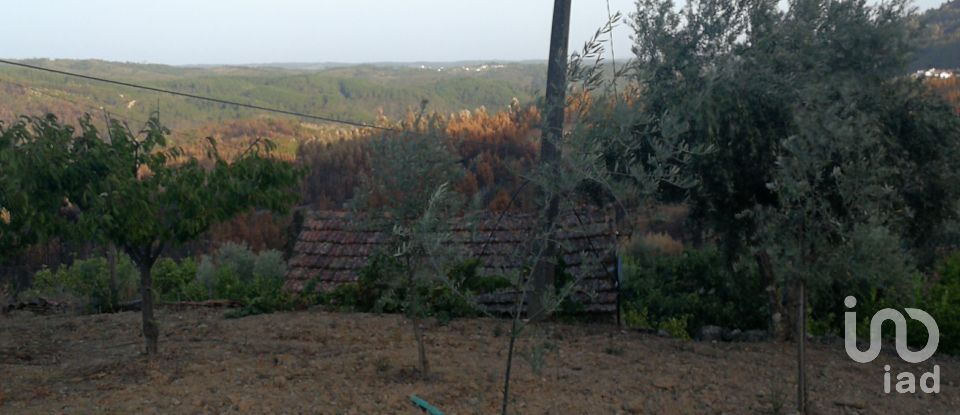 Land in Montes da Senhora of 4,250 m²