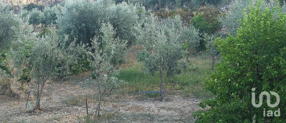 Terrain à Montes da Senhora de 4 250 m²