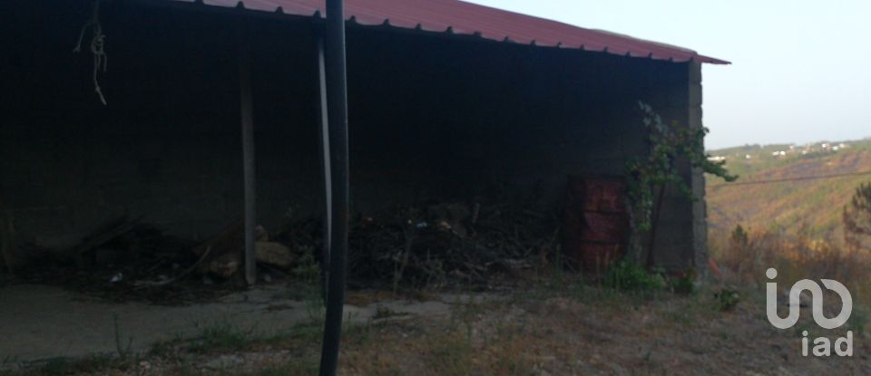 Terrain à Montes da Senhora de 4 250 m²