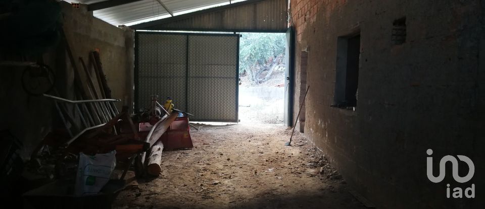 Terrain à Montes da Senhora de 4 250 m²