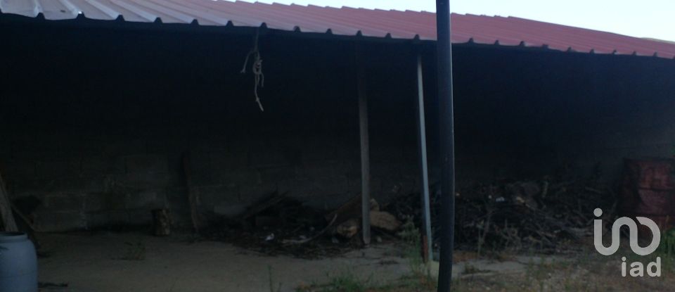 Terrain à Montes da Senhora de 4 250 m²