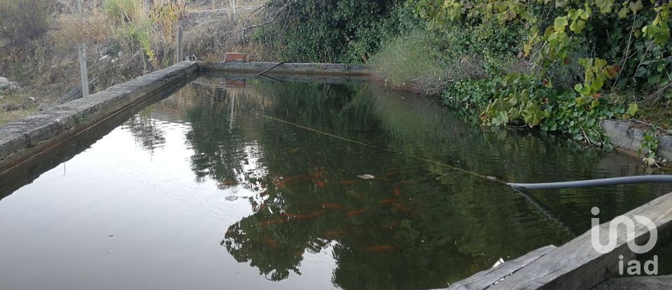 Terrain à Montes da Senhora de 4 250 m²