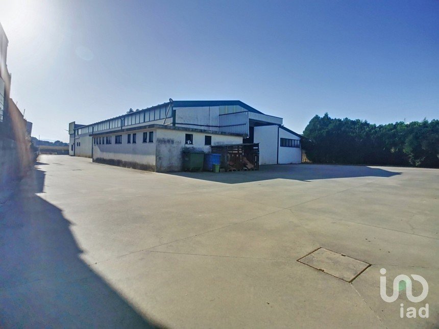 Espaço Comercial em Oliveira De Azeméis, Santiago De Riba-Ul, Ul, Macinhata Da Seixa E Madail de 600 m²