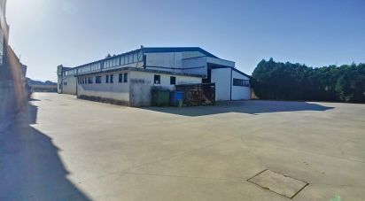 Murs commerciaux à Oliveira De Azeméis, Santiago De Riba-Ul, Ul, Macinhata Da Seixa E Madail de 600 m²