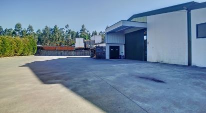 Murs commerciaux à Oliveira De Azeméis, Santiago De Riba-Ul, Ul, Macinhata Da Seixa E Madail de 600 m²