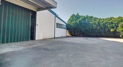 Murs commerciaux à Oliveira De Azeméis, Santiago De Riba-Ul, Ul, Macinhata Da Seixa E Madail de 600 m²