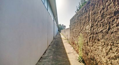 Commercial walls in Oliveira De Azeméis, Santiago De Riba-Ul, Ul, Macinhata Da Seixa E Madail of 600 m²